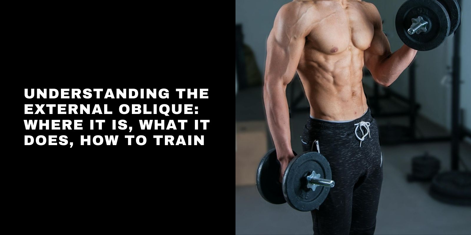 Understanding the External Oblique: Where It Is, What It Does, How to Train