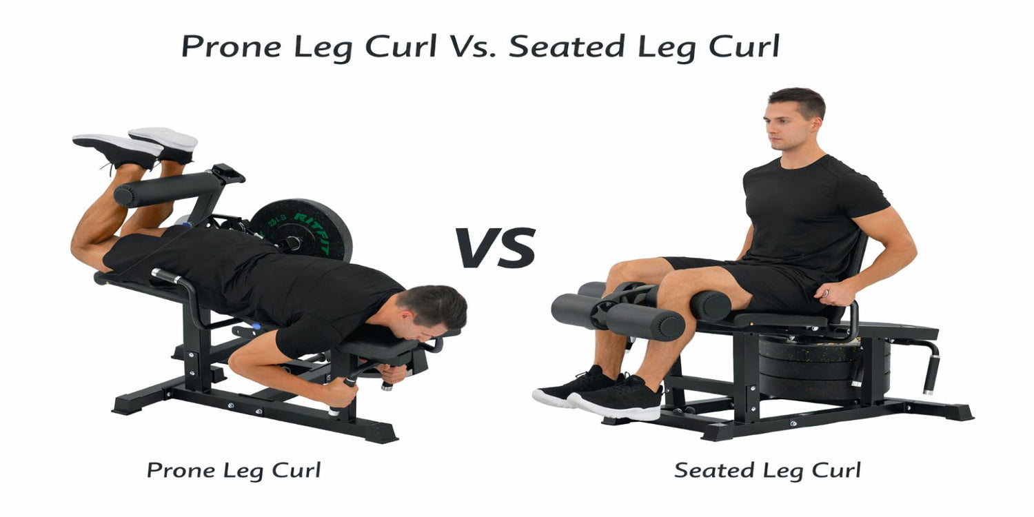 Prone Leg Curl vs. Seated Leg Curl: Which Is Better for Hamstring Growth?