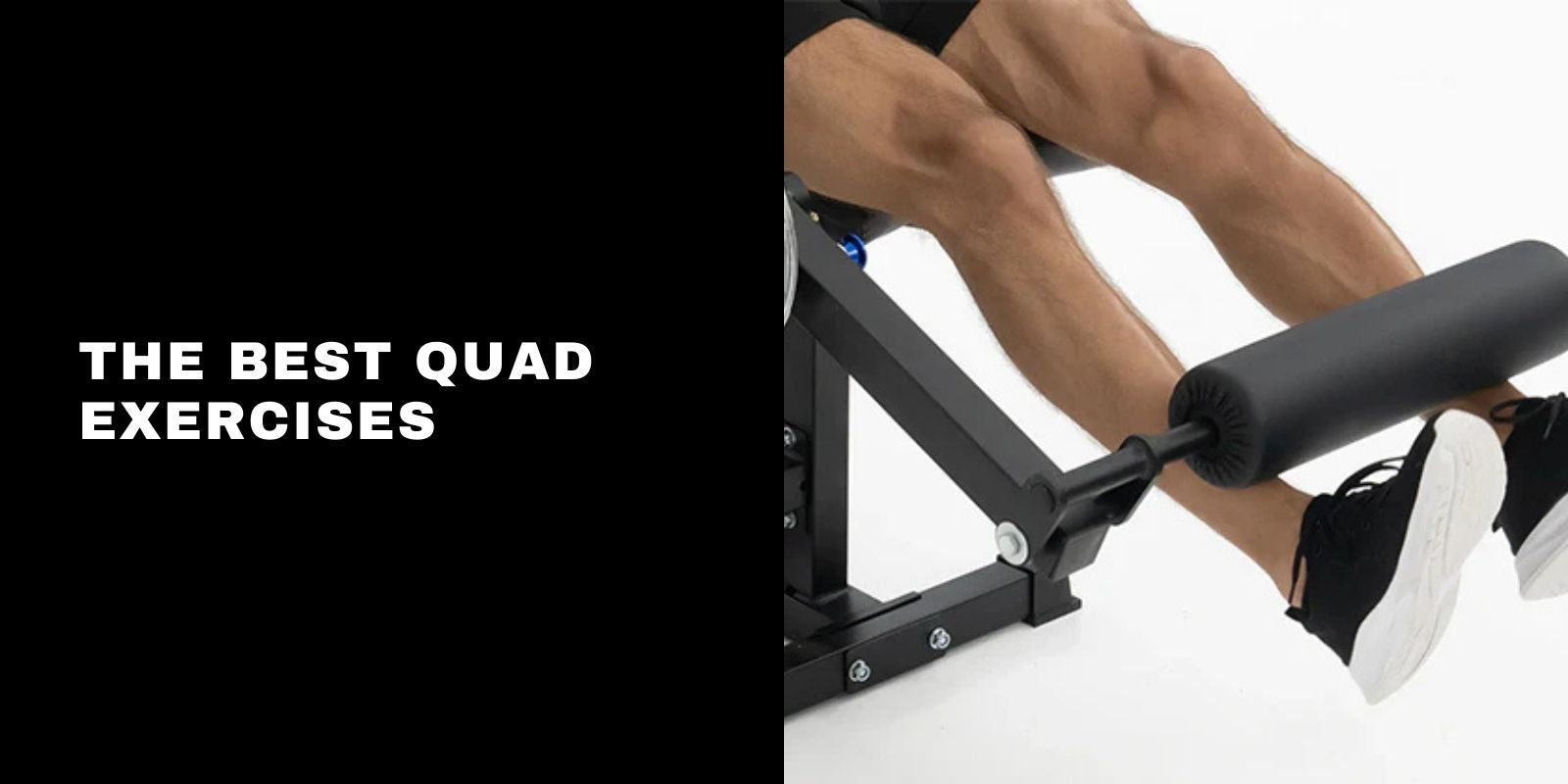 The Best Quad Exercises for Strength and Muscle Growth