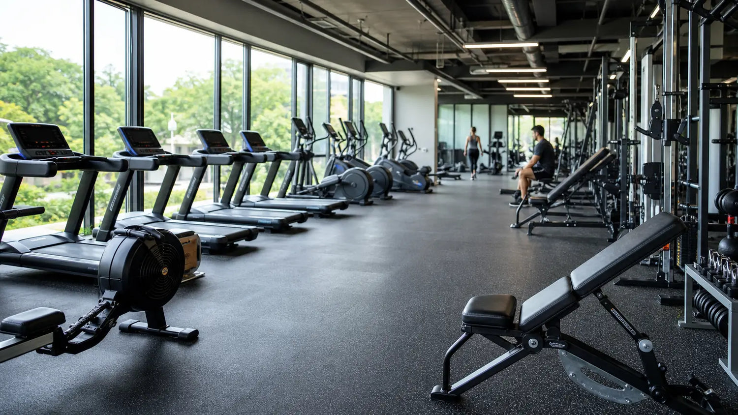 Bright modern gym interior with cardio and strength stations