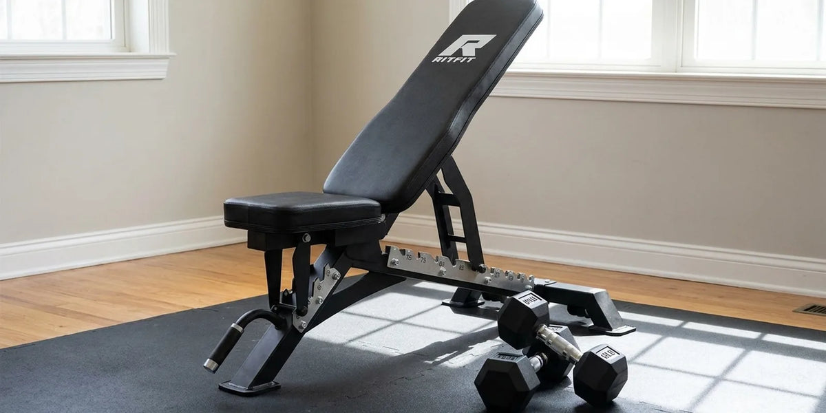 How to Build Muscle with a Basic Fitness Routine