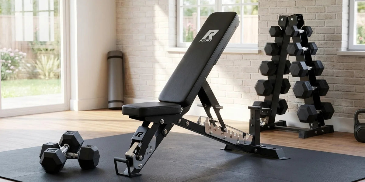 Best Home Workout Program for Beginners to Build Muscle