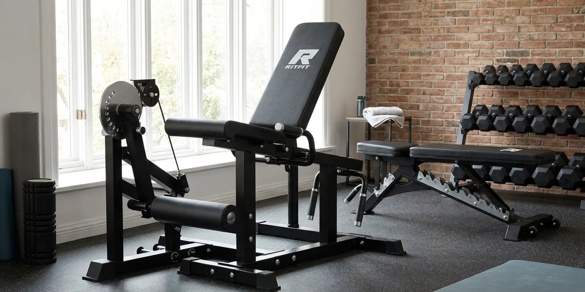 What Is a Leg Curl Machine? Hamstring Training Guide