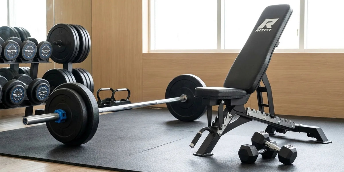 What Is an Olympic Barbell? Specs, Types and Buying Guide