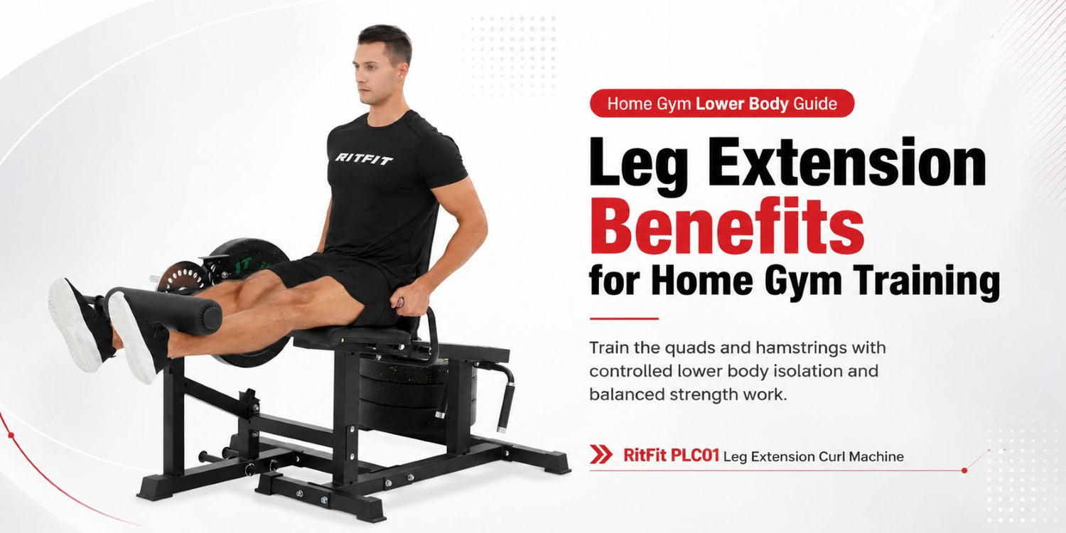 Leg Extension & Curl Machine: The Ultimate Space-Saving Home Gym Setup