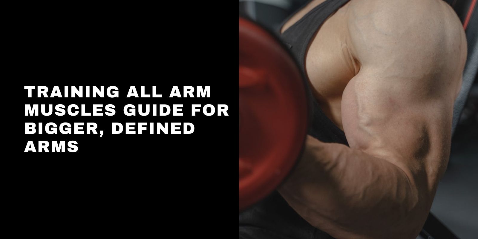 Training All Arm Muscles Guide for Bigger, Defined Arms