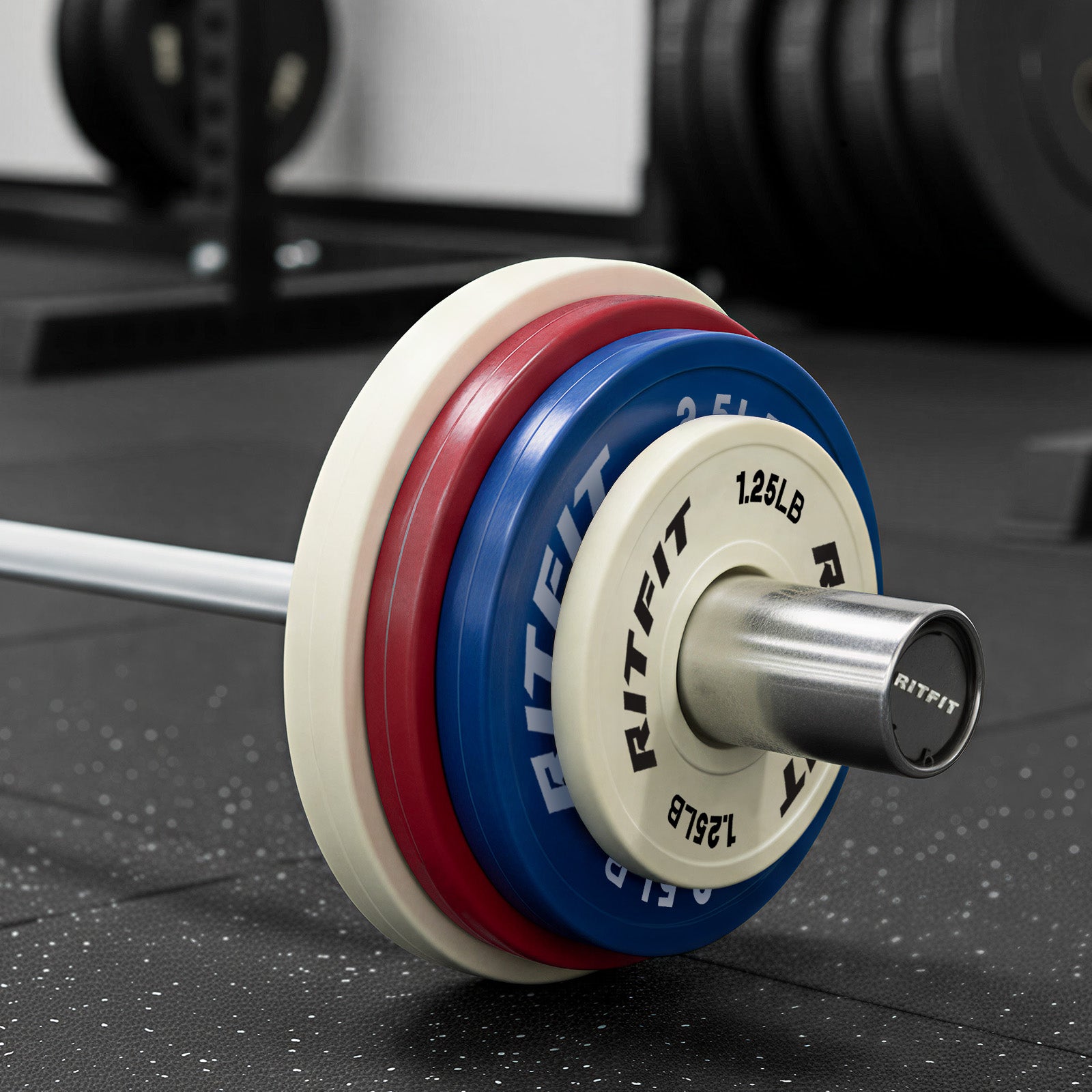 RitFit Mini Rubber Weight Plates Color Standard Set