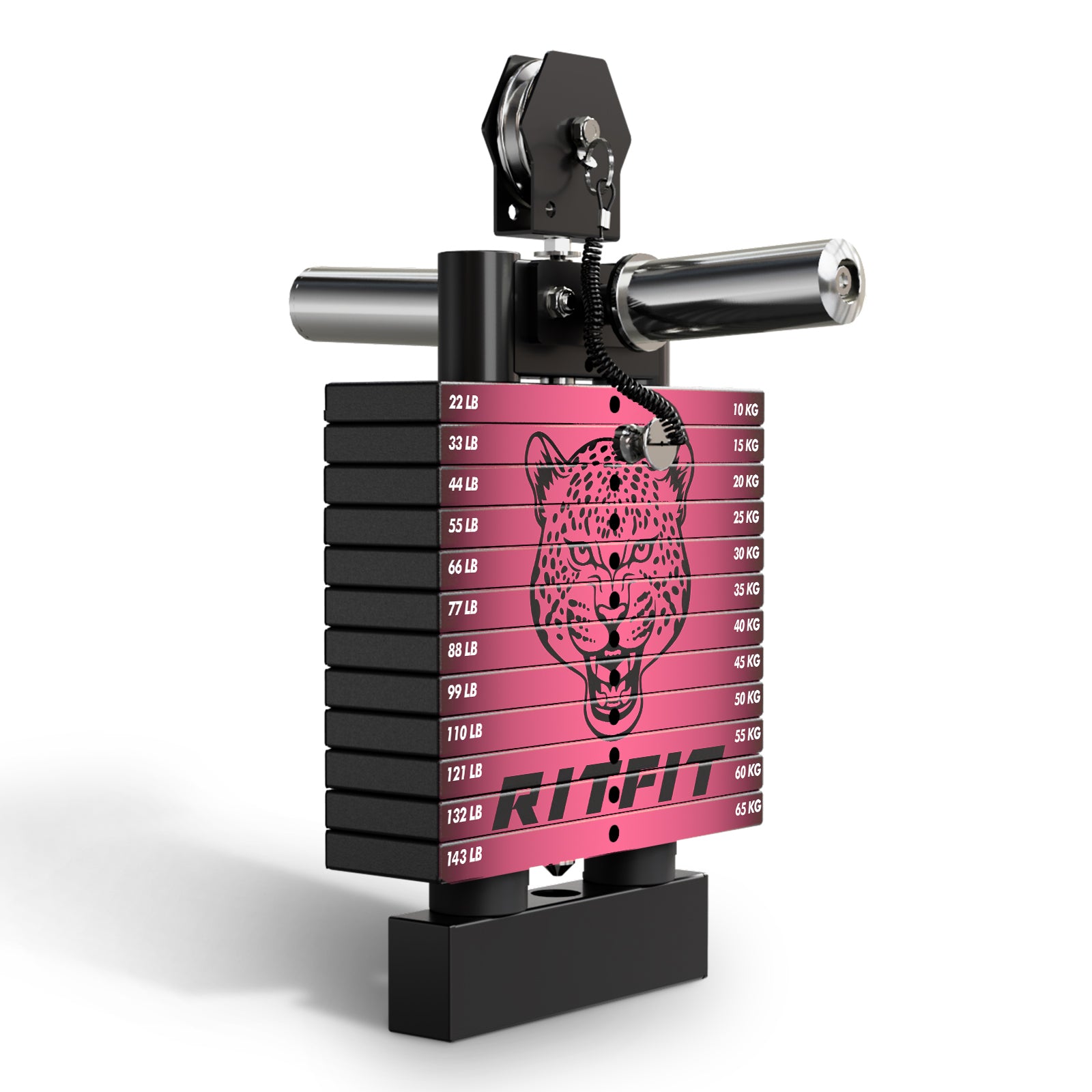 RitFit WSM1 Weight Stack Set 264lbs for M1 PRO - RitFit