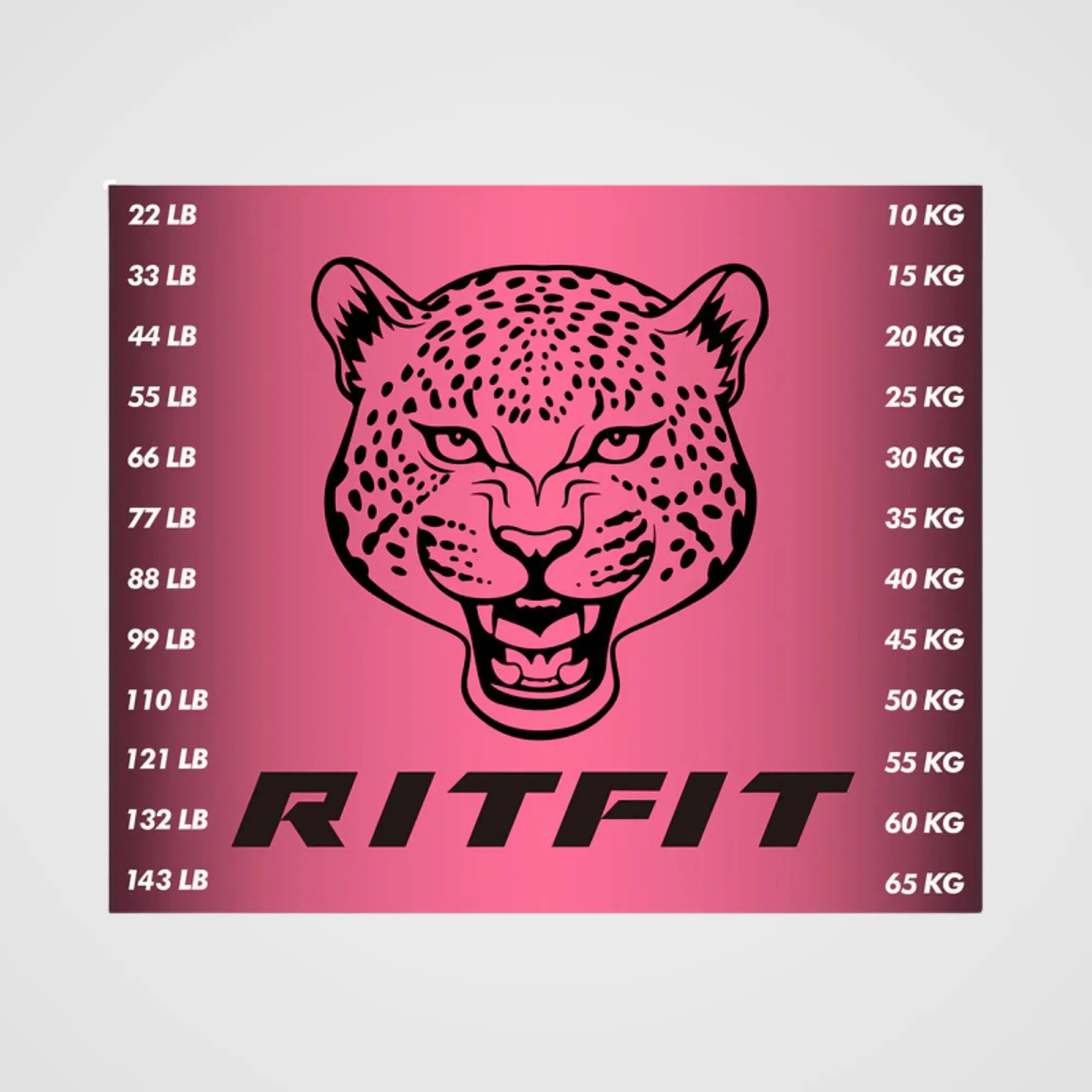RitFit M1 PRO / M2 PRO Weight Stack Stickers - RitFit