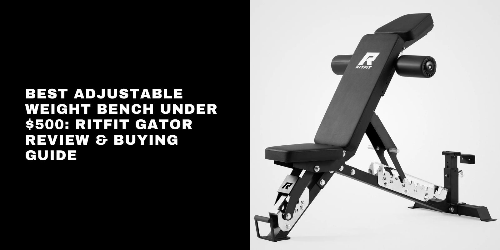 Best Adjustable Weight Bench Under $500: RitFit GATOR Review & Buying Guide