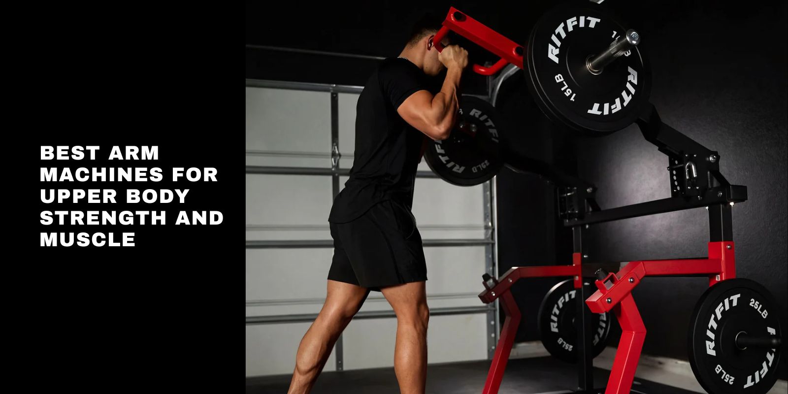 8 Best Arm Machines at the Gym for Upper Body Strength and Muscle
