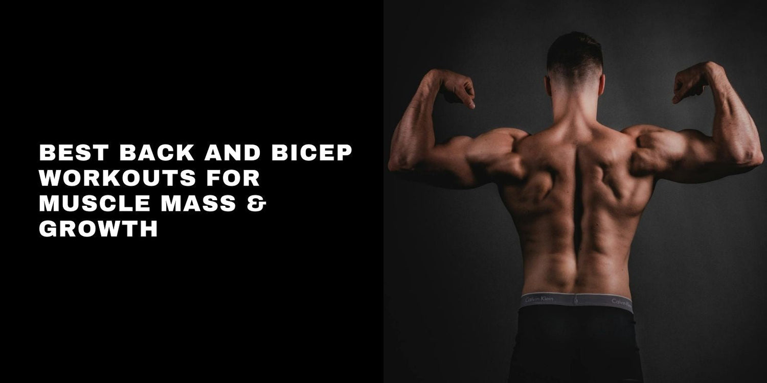 10 Best Back and Bicep Exercises for Size, Strength, and Home Training