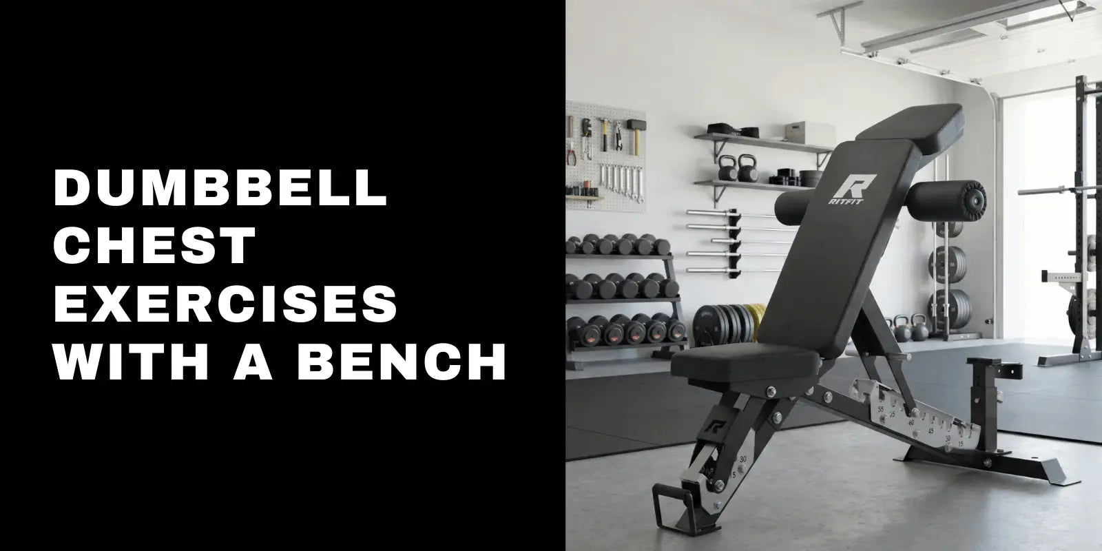 Dumbbell Chest Exercises With a Bench: Best Moves for Growth