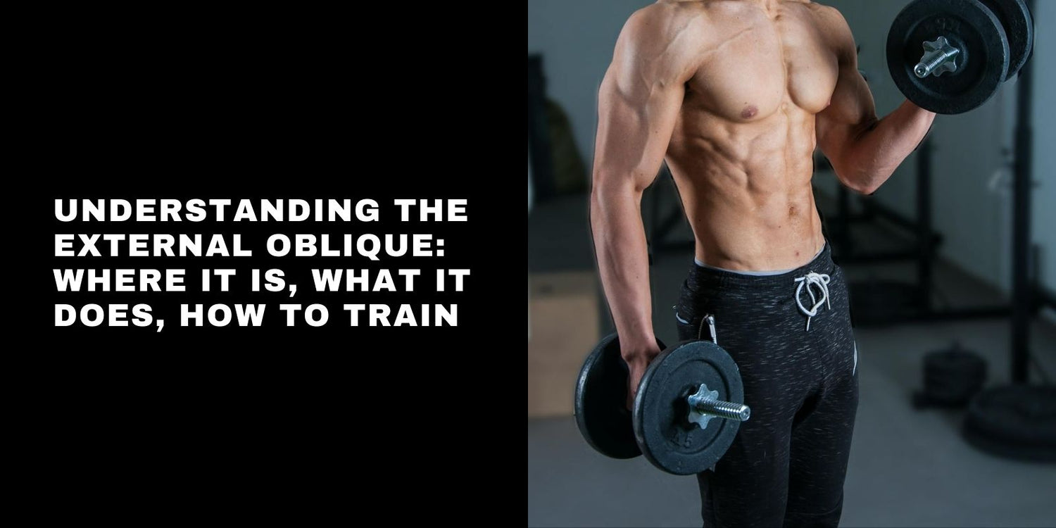 Understanding the External Oblique: Where It Is, What It Does, How to Train