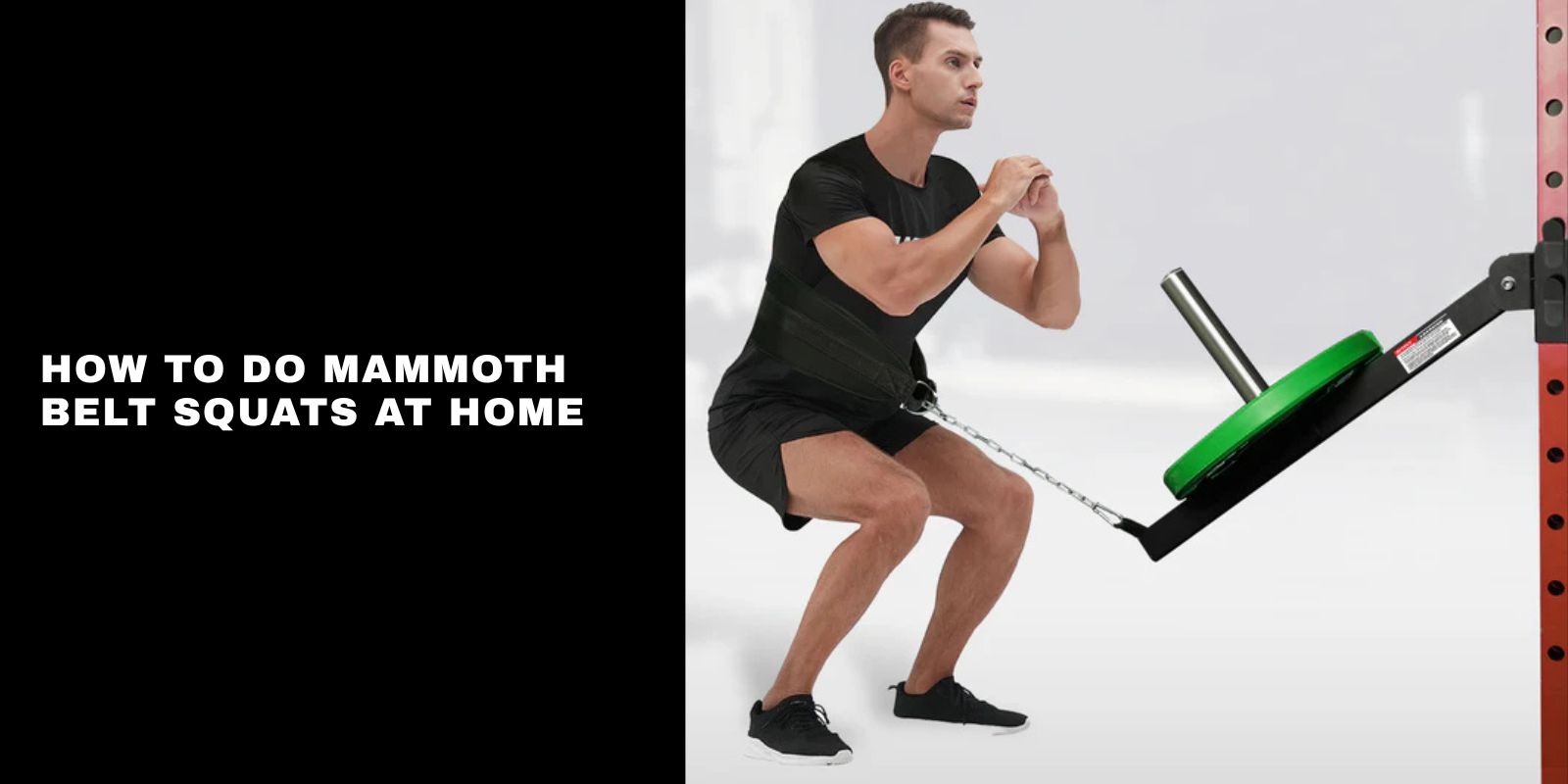 How to Do Mammoth Belt Squats at Home: Form, Benefits, Setup
