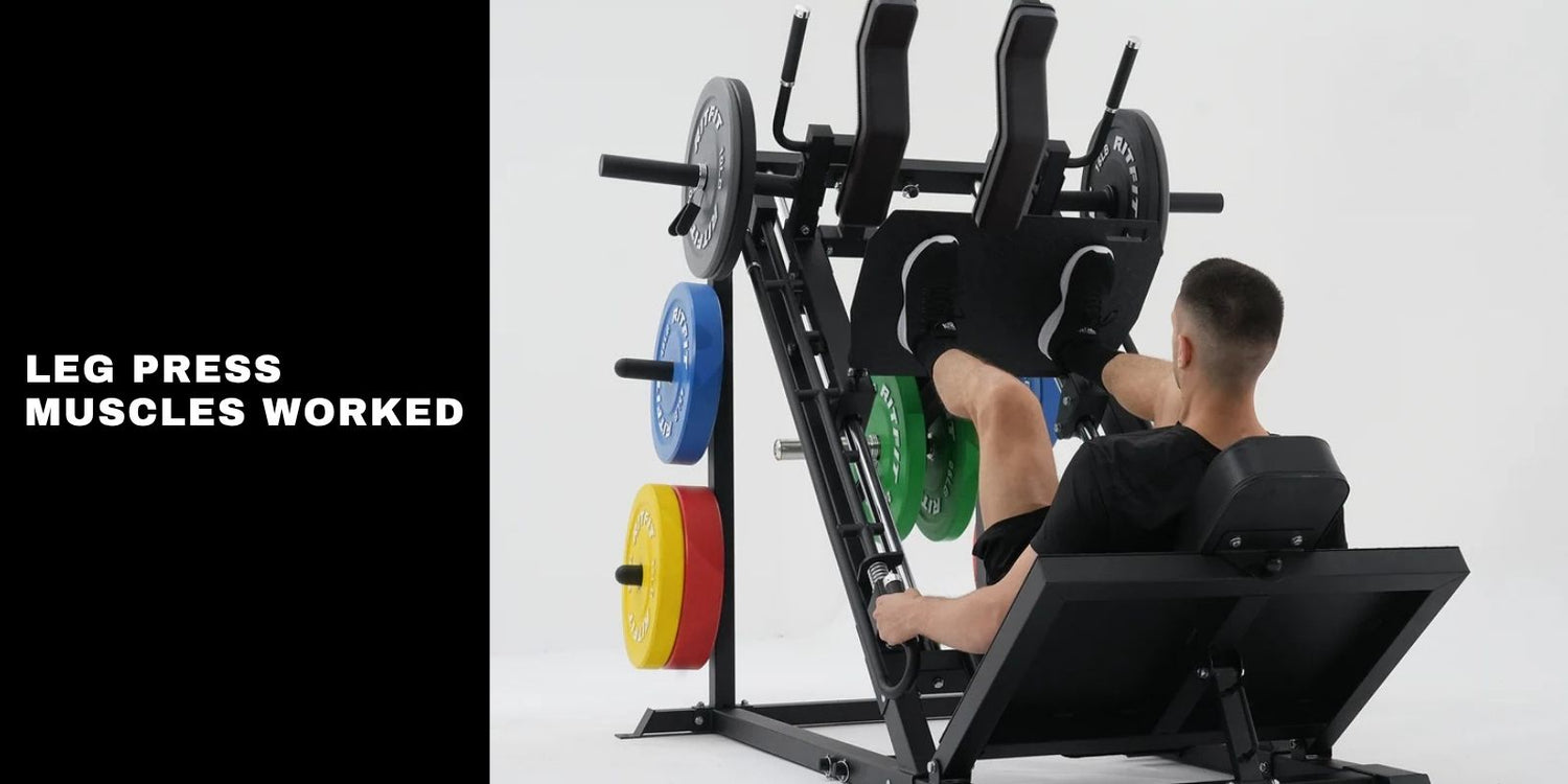 Leg Press Muscles Worked: Leg Day with RitFit GAZELLE PRO