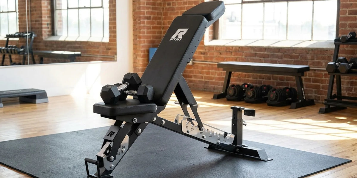 Arm Workout Machines Names: A Gym Identification Guide