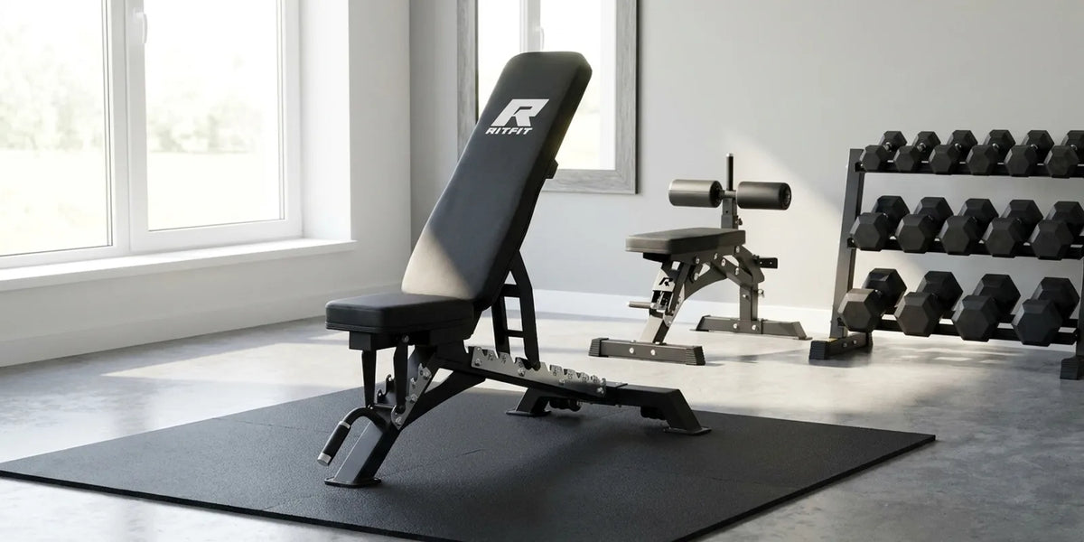 Best Weight Bench for Bodybuilding: RitFit Gator Guide