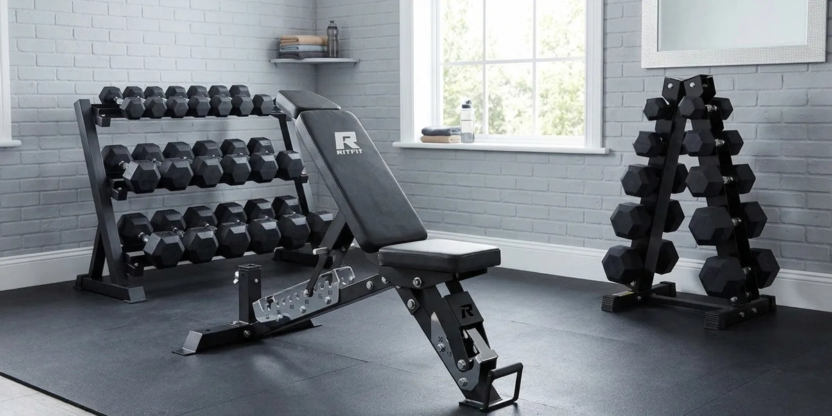 Best Weight Bench for Dumbbell Work in 2026: RitFit Gator Guide