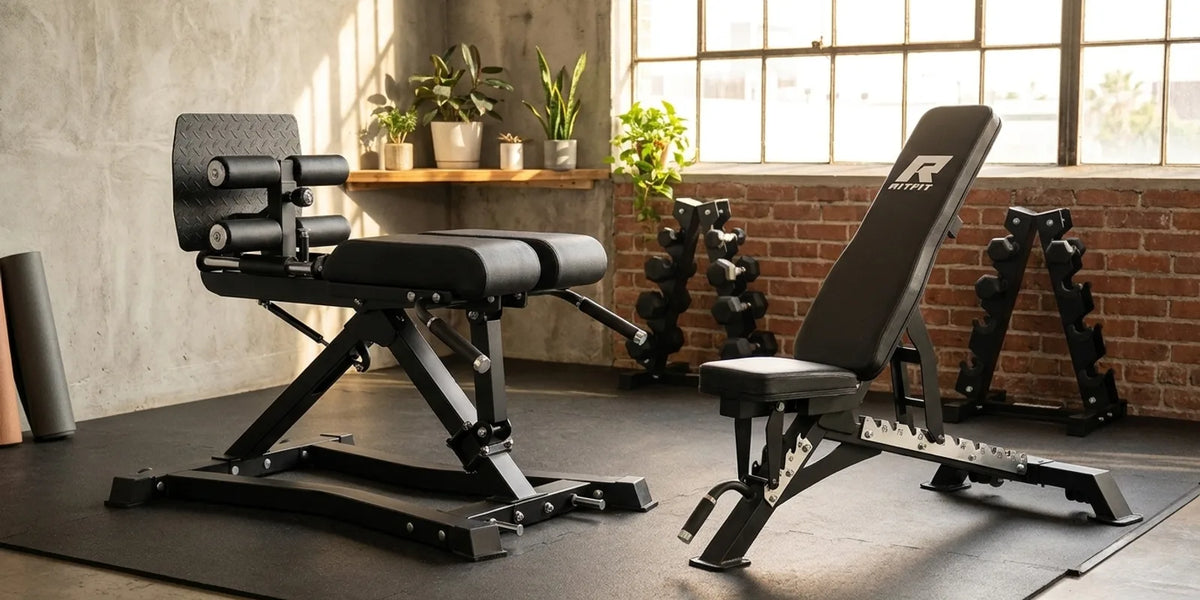 What Is a Back Extension Machine? A Lower Back and Posterior Chain Guide