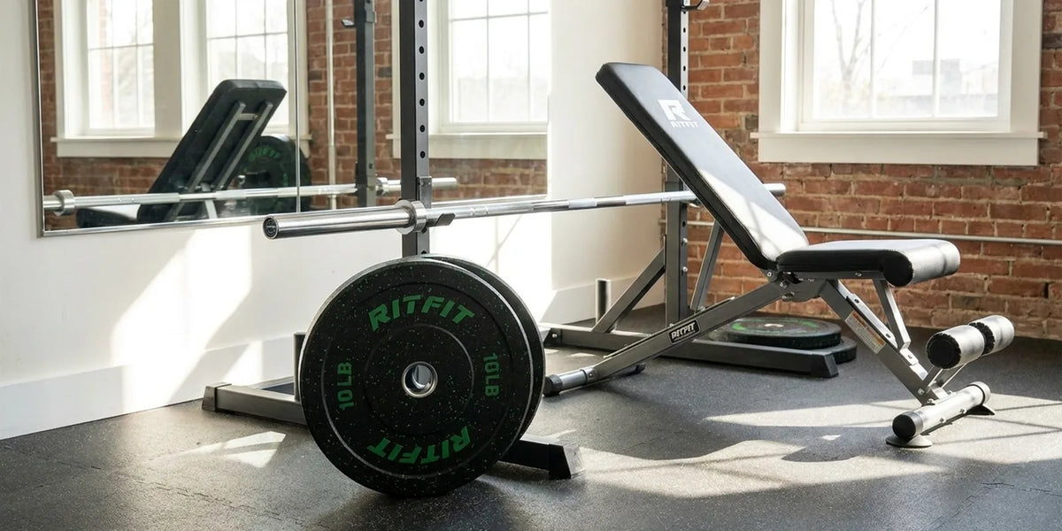 Which 10 lb Rubber Plates vs Crumb Rubber Should You Buy