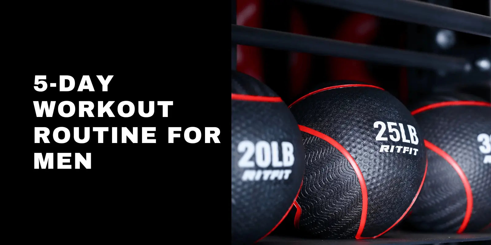 5-Day Workout Routine for Men: The Complete Muscle Building Guide