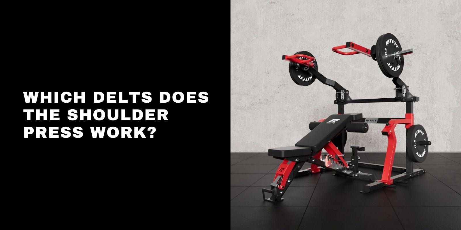 Which Delts Does the Shoulder Press Work? Full Muscle Breakdown