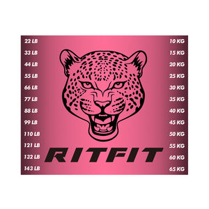 RitFit M1 PRO / M2 PRO Weight Stack Stickers