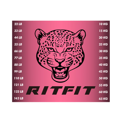 RitFit M1 PRO / M2 PRO Weight Stack Stickers