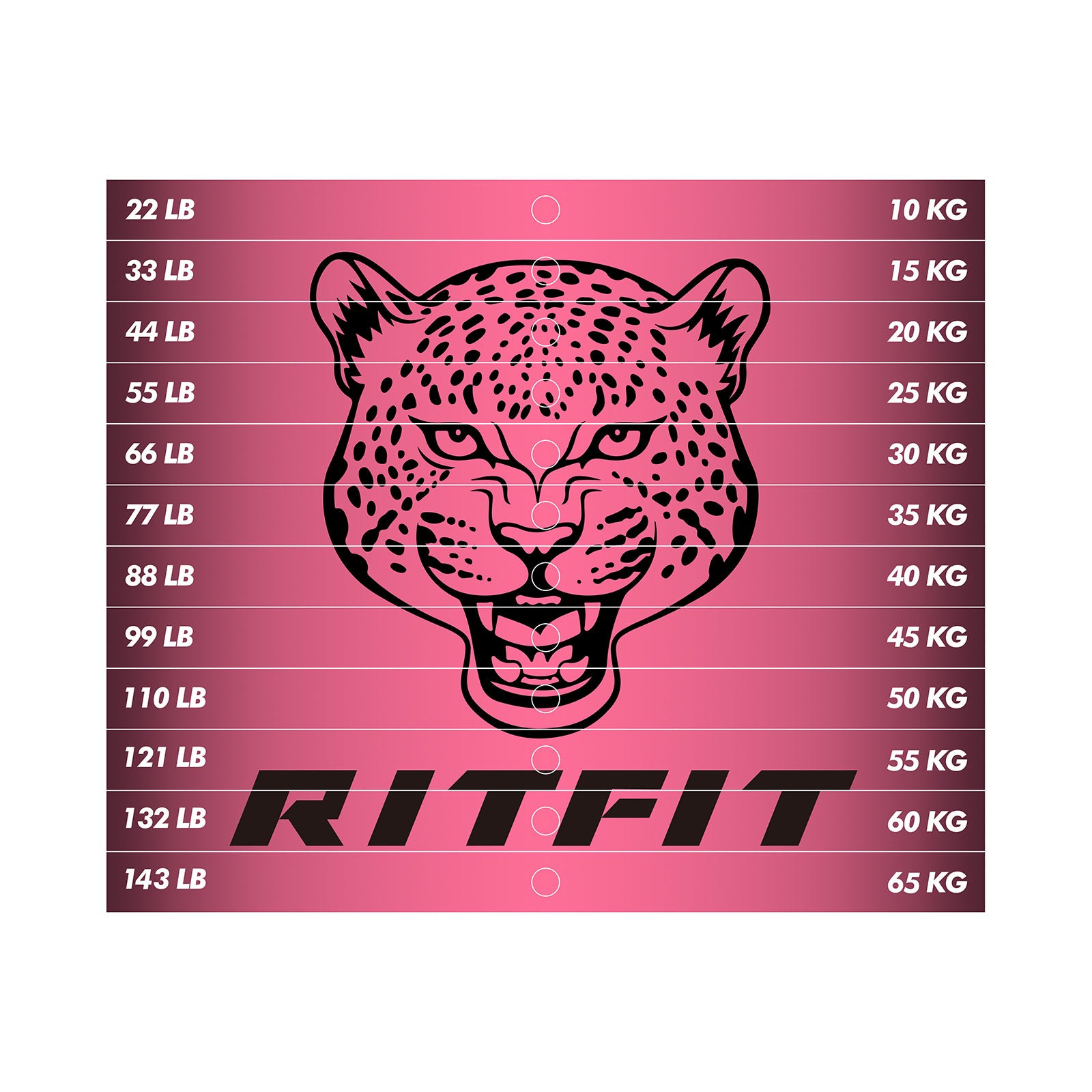 RitFit M1 PRO / M2 PRO Weight Stack Stickers - RitFit