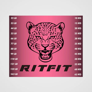 RitFit M1 PRO / M2 PRO Weight Stack Stickers