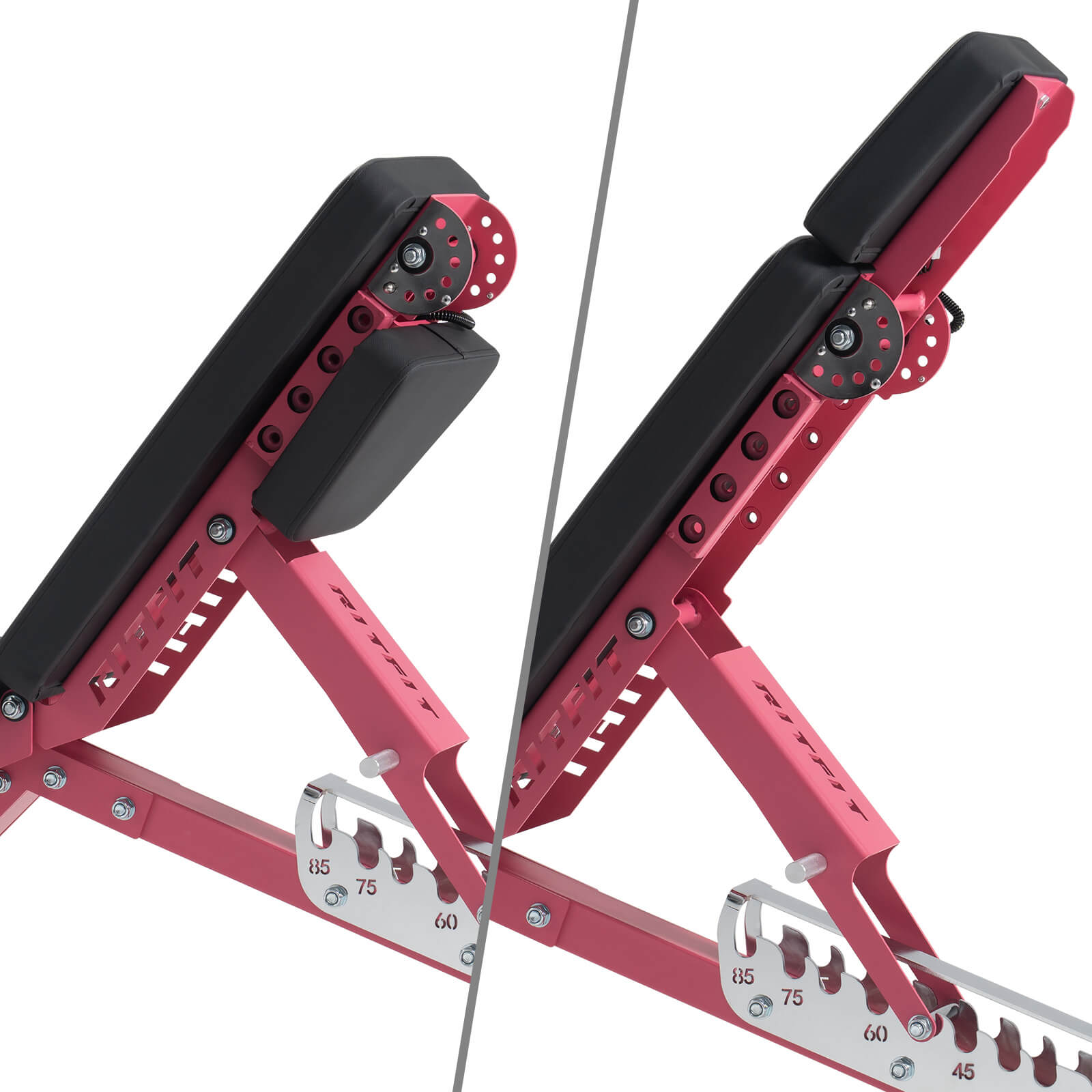 Pink RitFit GATOR 1600LB adjustable weight bench with padded seat and backrest, designed for versatile strength training.