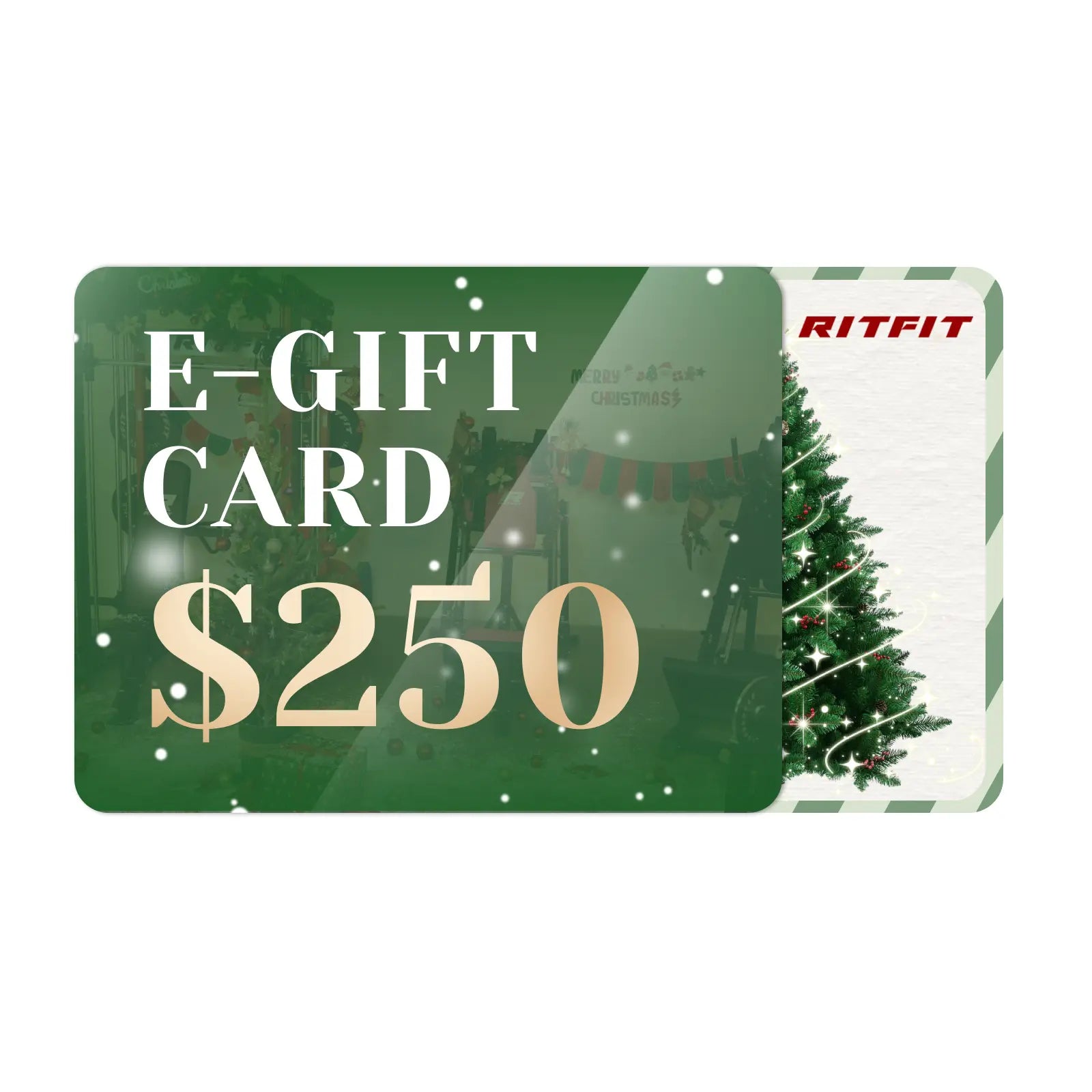 RitFit E-Gift Card for Christmas