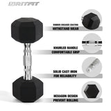RitFit Rubber Hex Dumbbell Set with Rack 550LBS 10 Pairs Weight RitFit 