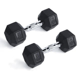 RitFit Rubber Hex Dumbbells Weight RitFit 10 lbs (pair) 