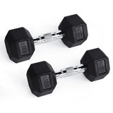 RitFit Rubber Hex Dumbbells Weight RitFit 15 lbs (pair) 