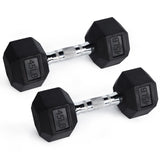RitFit Rubber Hex Dumbbells Weight RitFit 45 lbs (pair) 